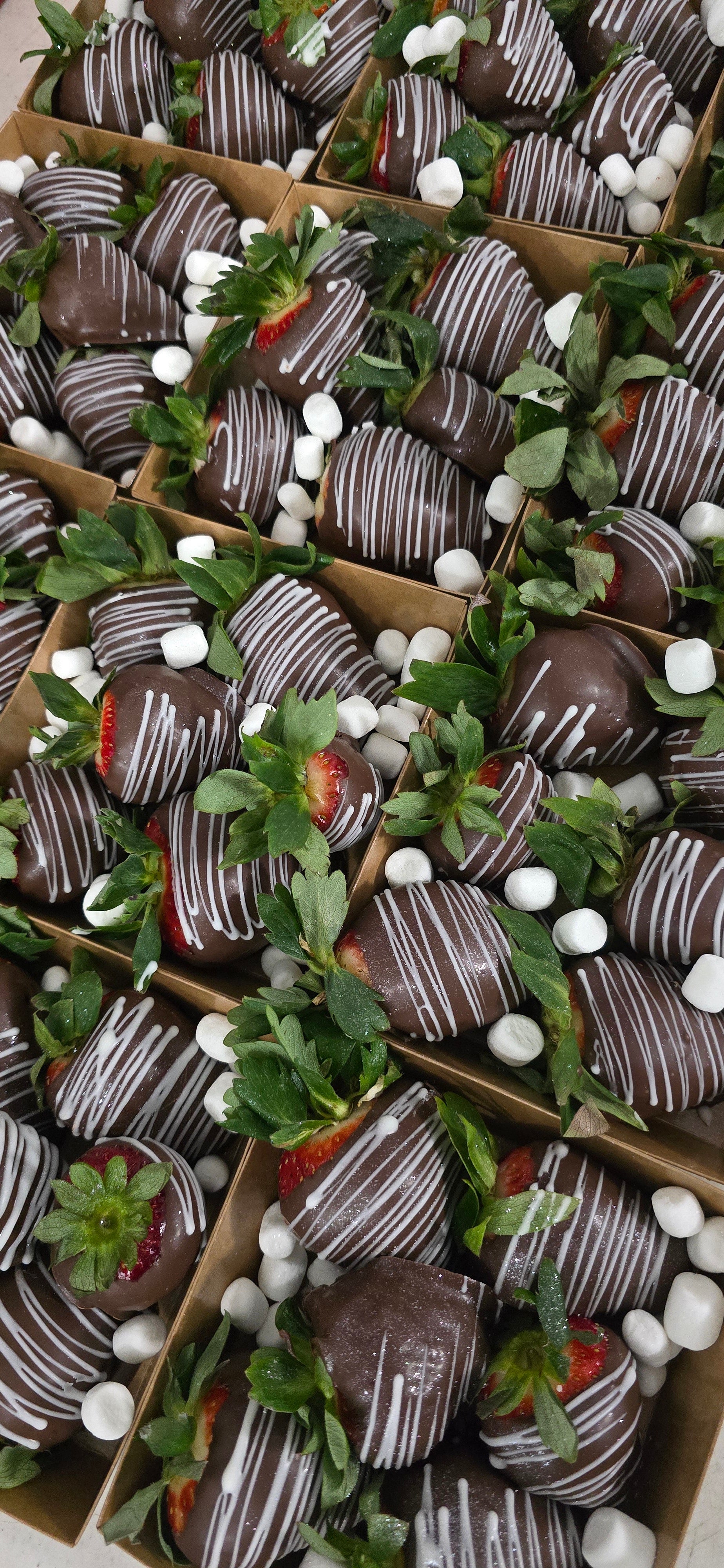 Fresas con Chocolate